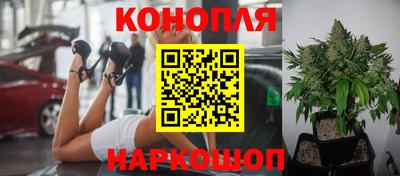 ГАЛЛЮЦИНОГЕННЫЕ ГРИБЫ Конаково