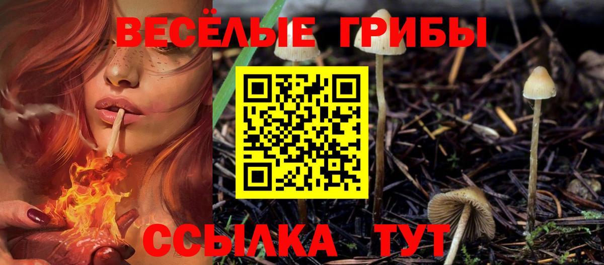 Галлюциногенные грибы ЛСД  Вход с VPN  Кизилюрт 