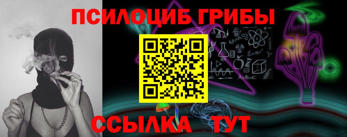 Галлюциногенные грибы GOLDEN TEACHER  Галлюциногенные грибы GOLDEN TEACHER  Кизилюрт 