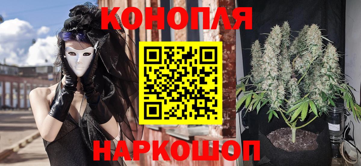 Бошки Шишки тримм Кизилюрт